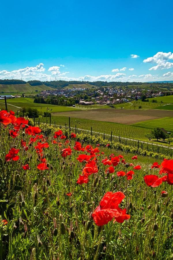 Pflaumers Ferienwohnung Eppingen Bagian luar foto